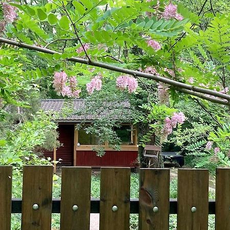 Cinke Cottage, Nest In Nature Verőcemaros Exteriér fotografie