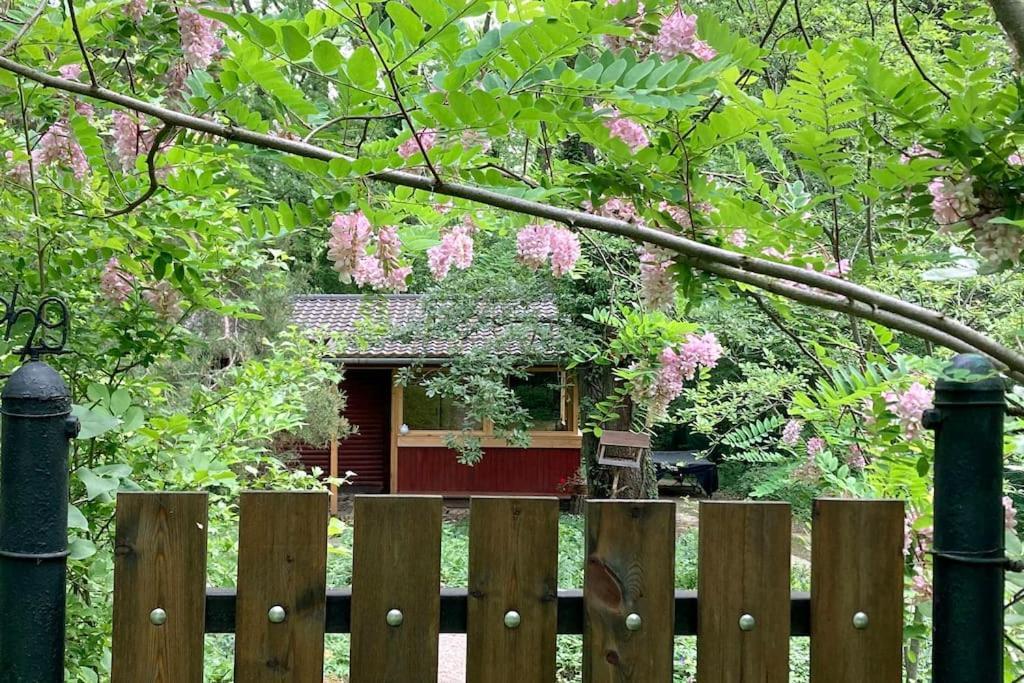 Cinke Cottage, Nest In Nature Verőcemaros Exteriér fotografie