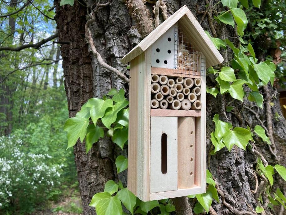 Cinke Cottage, Nest In Nature Verőcemaros Exteriér fotografie